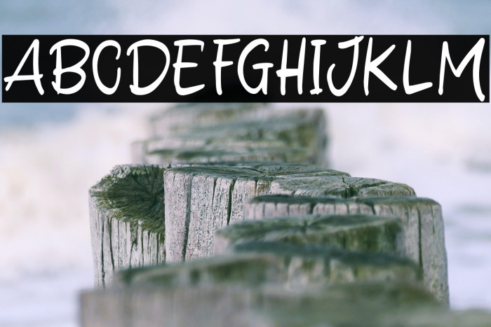 Delight Winter Example 3