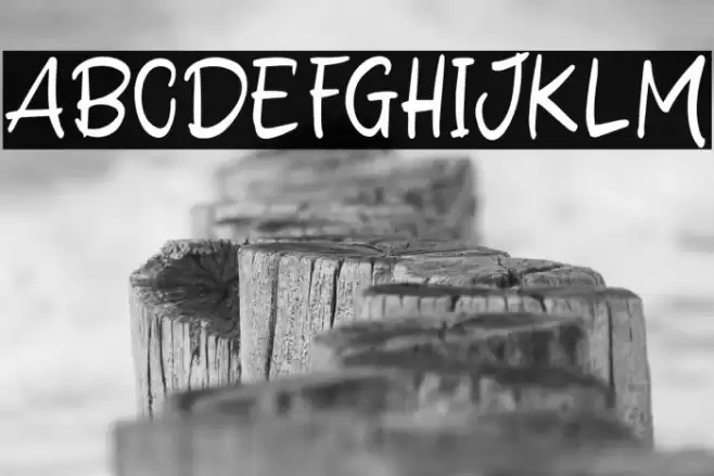 Delight Winter Font examples