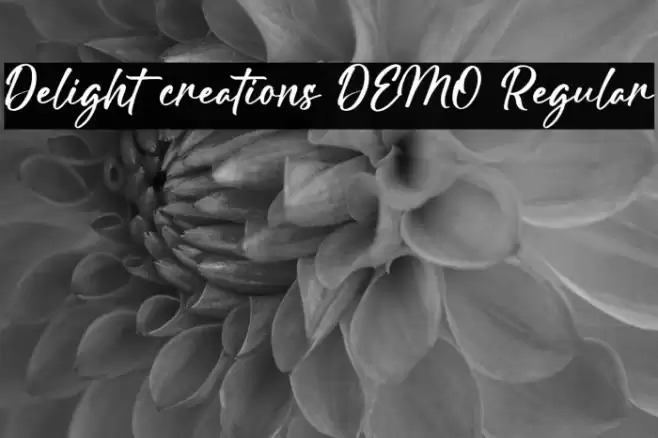 Delight creations DEMO Regular Font examples
