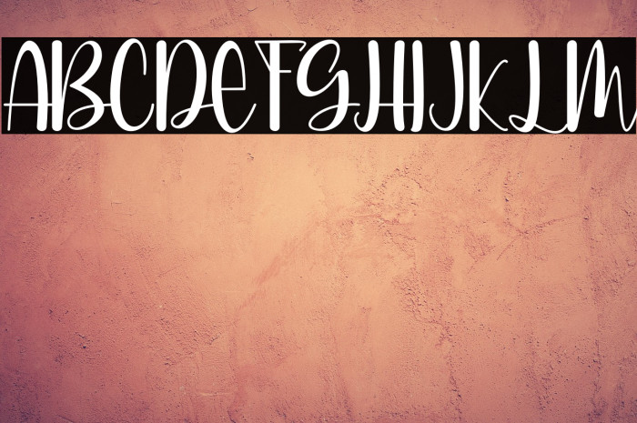 Delight day Example 2