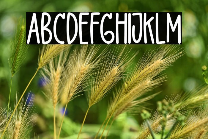 DelightLove Example 1