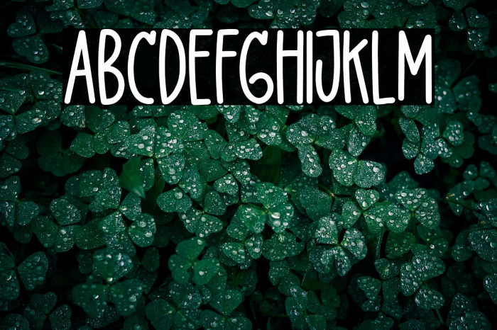 DelightLove Example 3