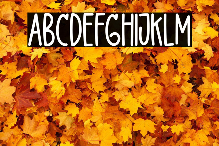 DelightLove Example 1