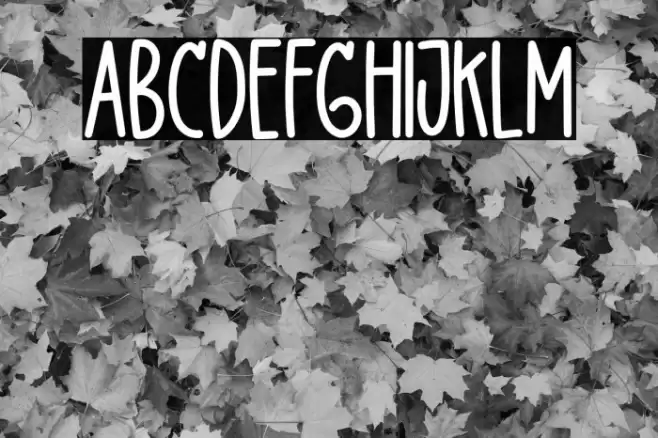 DelightLove Font examples