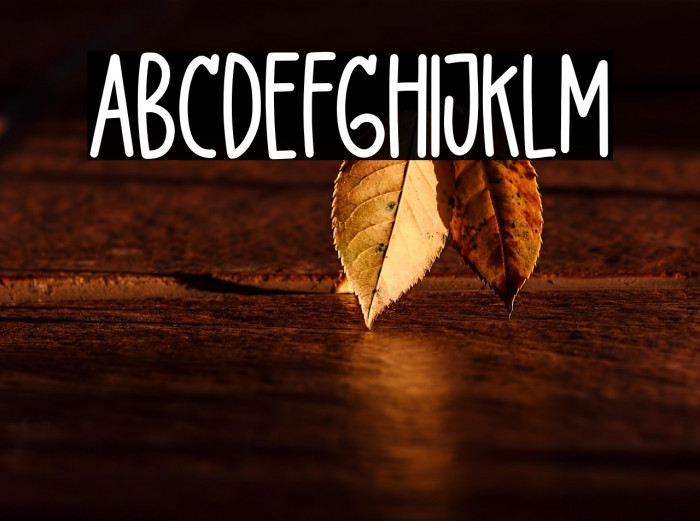 DelightLove Example 2