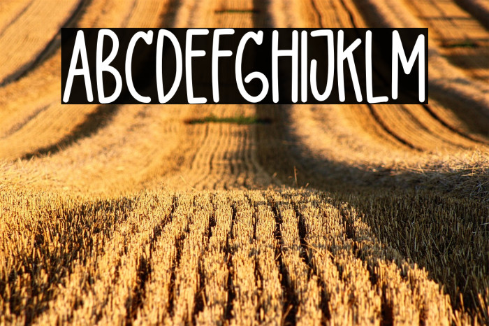 DelightLove Example 3