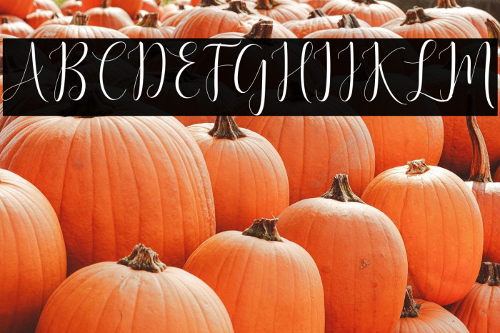 DelightScript Example 2