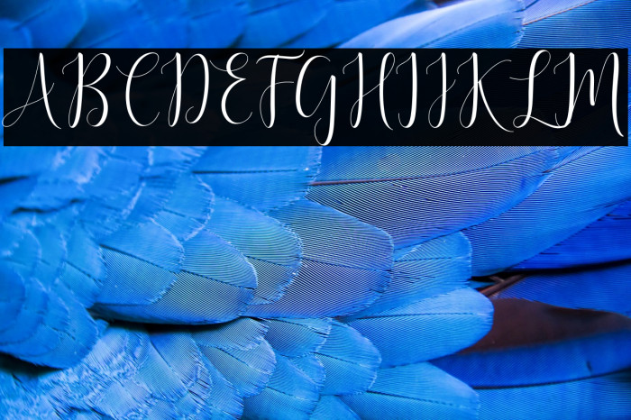 DelightScript Example 3