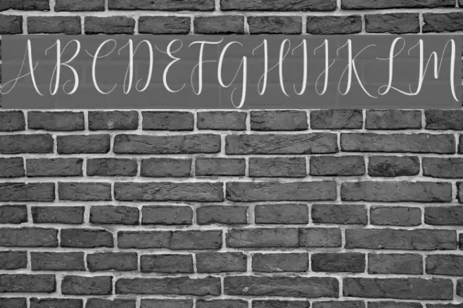 DelightScript Font examples