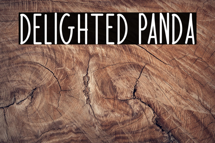 Delighted Panda Example 1