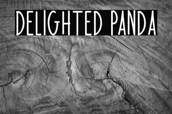 Delighted Panda Font examples