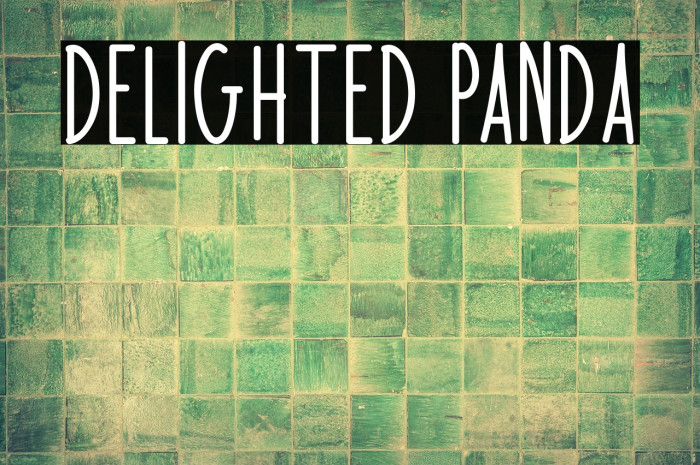 Delighted Panda Example 2