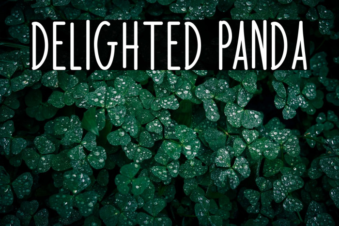 Delighted Panda Example 3