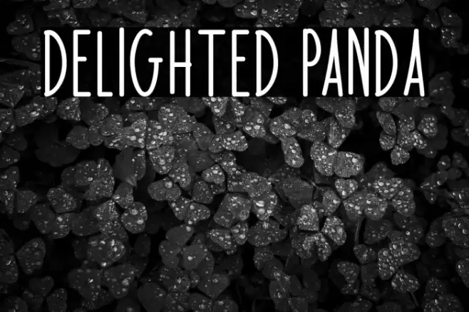 Delighted Panda Font examples
