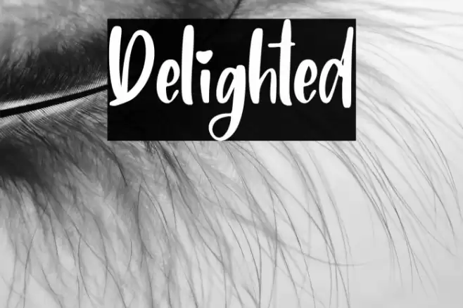 Delighted Font examples