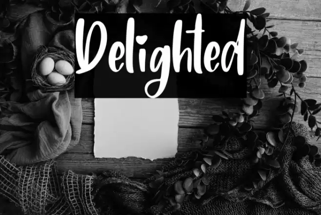 Delighted Font examples