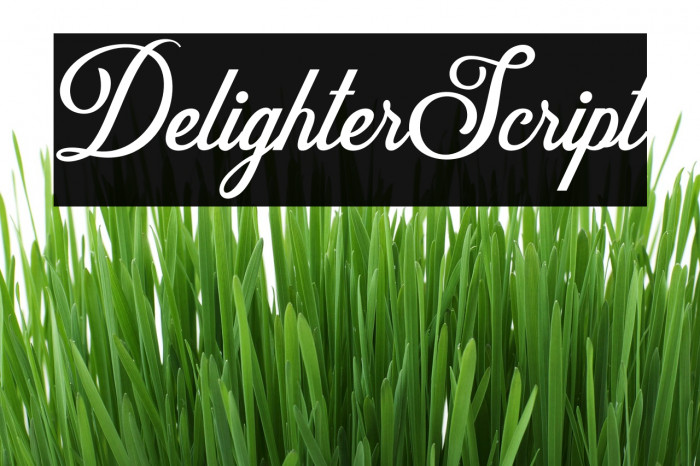 DelighterScript फ़ॉन्ट examples