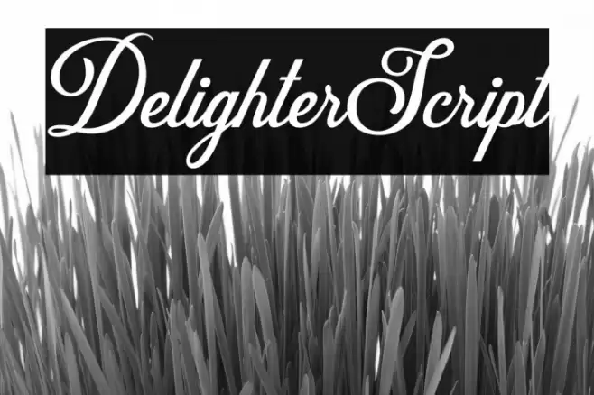 DelighterScript फ़ॉन्ट examples