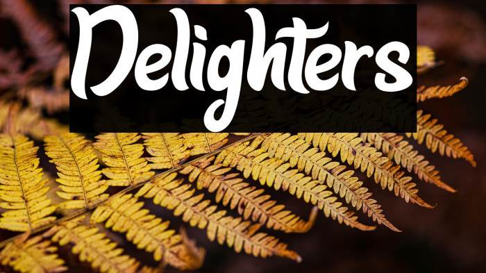 Delighters Example 2