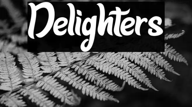 Delighters Example 2