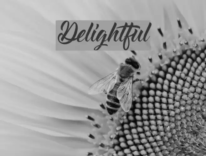 Delightful Font examples