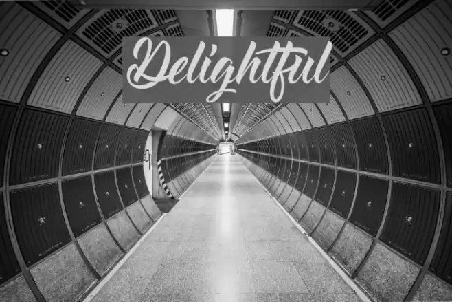 Delightful Font examples