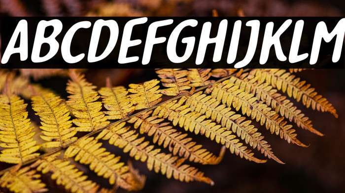 Delightious Italic Example 3