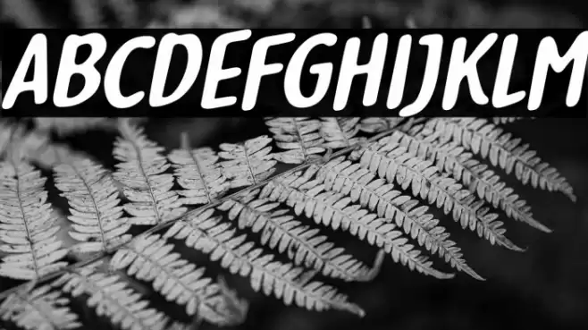 Delightious Italic 字体 examples