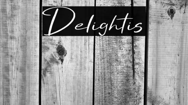 Delightis Example 3