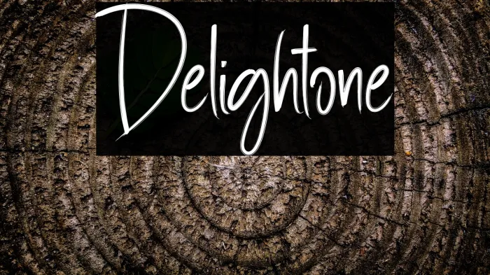 Delightone Example 1
