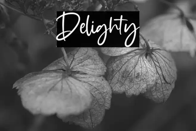 Delighty Font examples