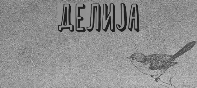 Delija Example 2