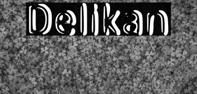 Delikan Example 2