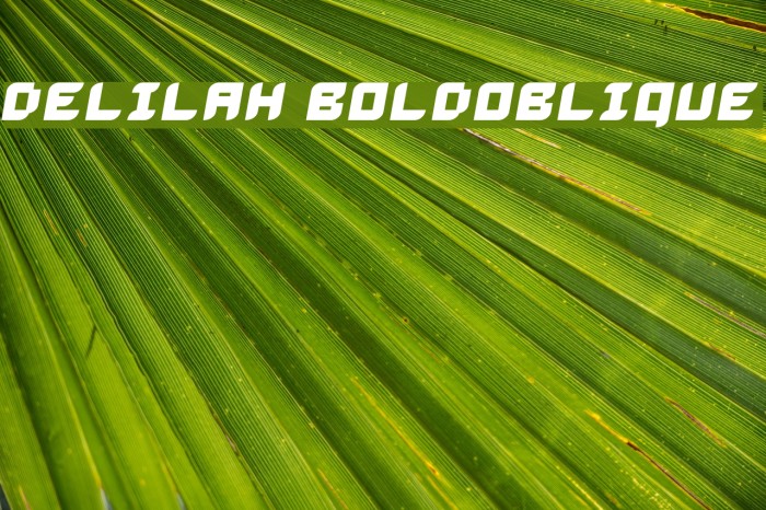 Delilah BoldOblique Example 3