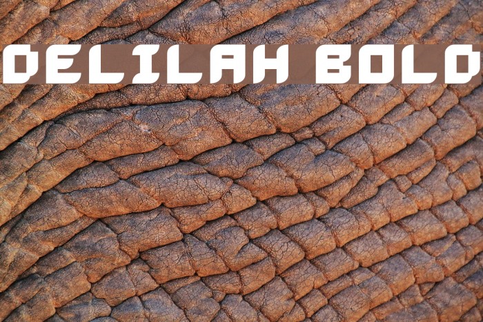 Delilah Bold Example 1