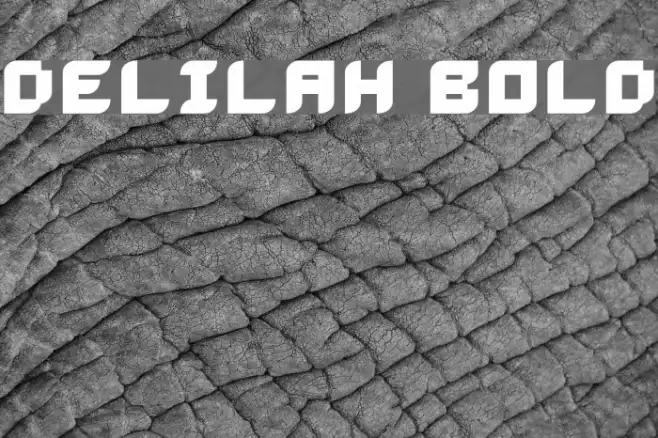Delilah Bold Example 1