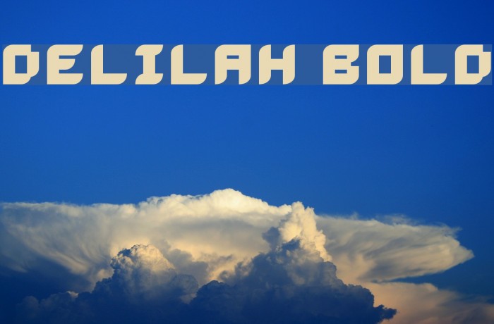 Delilah Bold Example 2