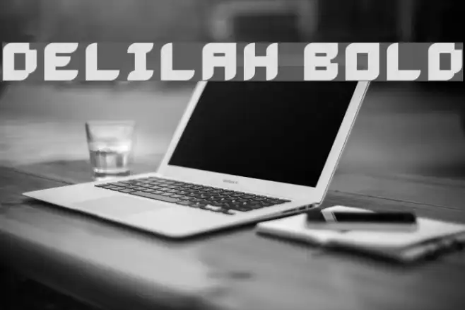 Delilah Bold Example 3