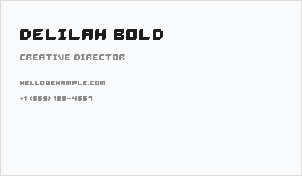 Delilah Bold Business Card