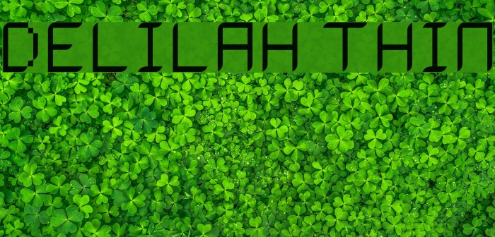 Delilah Thin Example 2