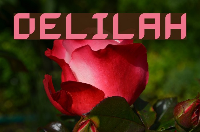 Delilah Example 3
