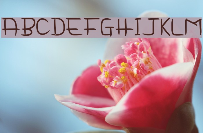 Delima Notes Font examples