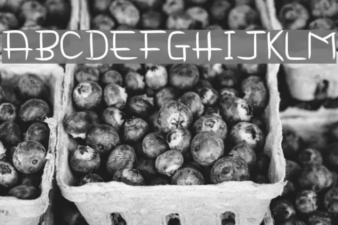 Delima Notes Font examples