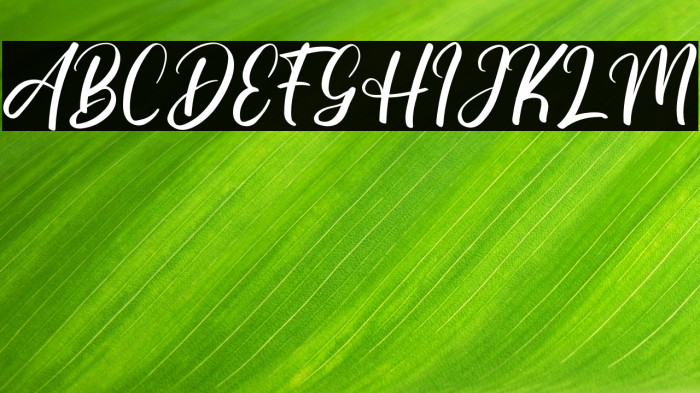 Delinda Agatha Example 3