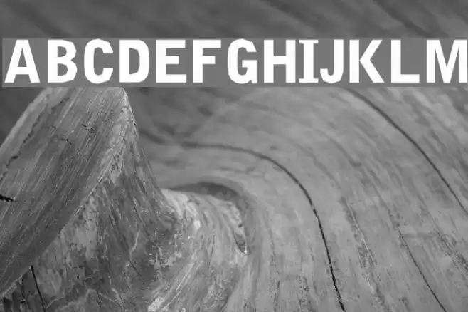 Delinquent-Black Font examples