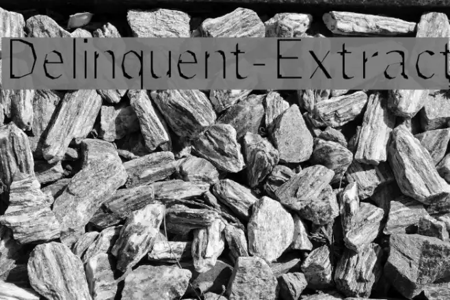Delinquent-Extract Example 1