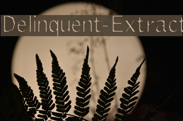 Delinquent-Extract Font examples