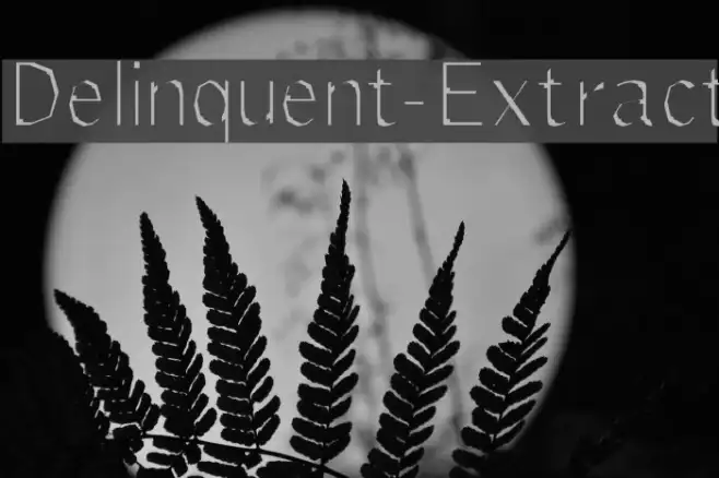 Delinquent-Extract Example 2