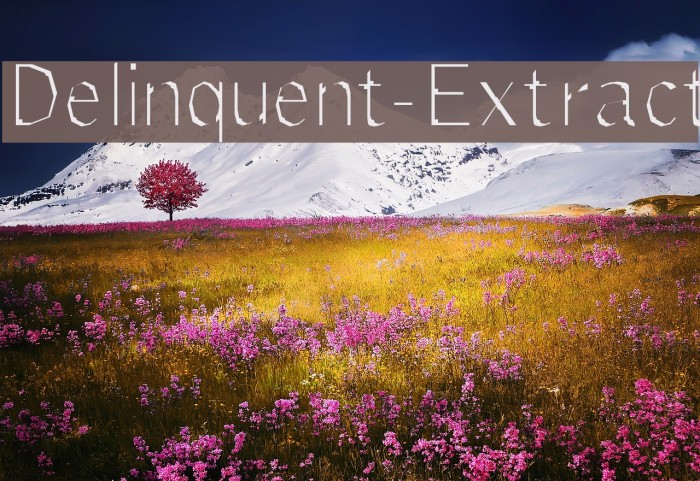 Delinquent-Extract Font examples