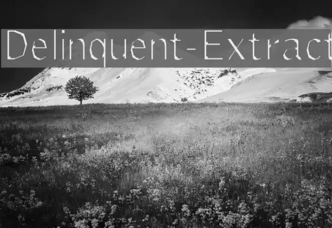 Delinquent-Extract Example 3